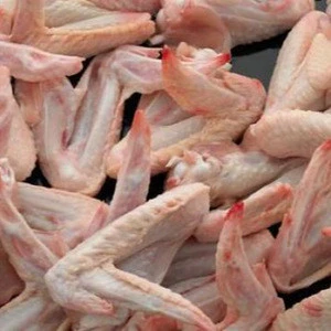 Top Grade Clean Frozen Chicken Wings High Quality Halal Frozen Chicken Wings