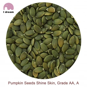Top Grade Pumpkin Kernels Natual Baked factory wholesale shine skin seeds