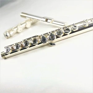 Top grade woodwind instruments Silver Plated flute 16 Holes Offset G key Open with E Mechanism Flauta