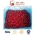 Import Top Quality IQF Frozen Fruit and Cherry from China