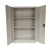 Import Two Doors Steel Filling Cabinet High Quality Commercial Use from China