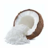 Vegan Coconut Milk Powder (without Sodium Caseeinate )