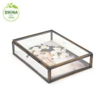 ~~ Vintage Beveled Jewelry Casket: Trinket container/ holder/ tray in Black~ Brass & Glass 4 Sided Display case boxing gloves