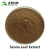 Import Weigh loss 20% Senna leaf extract senna slim tea from China