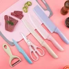 Wheat Straw Kitchen Accessories Colorful 6pcs Non-stick Blade Stainless Steel Kitchen Knives Set
