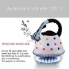 white color whistling kettle stainless steel for home kitchen appliances