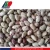 Import White Eye Beans, Types of Beans, Import White Beans from China