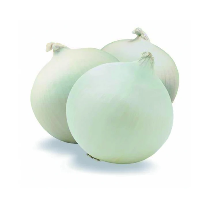 white onion yellow price cheap  2020  in China
