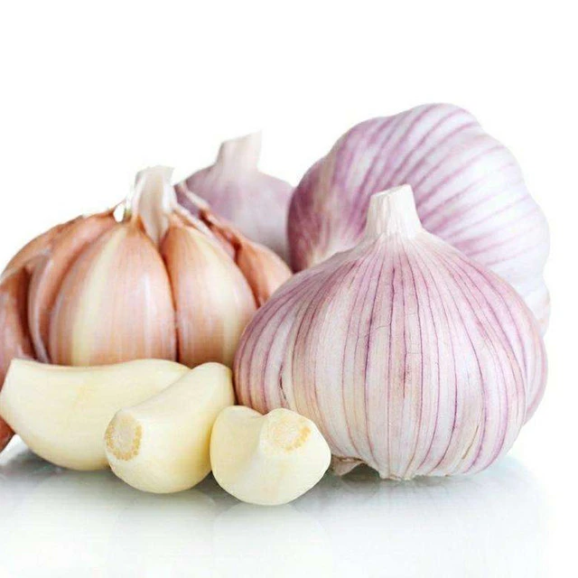 wholesale 2020 new Garlic