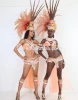 Wholesale ballet sexy samba carnival costumes