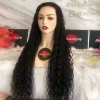Wholesale Brazilian Virgin Hair 13X6 Lace Frontal Wig Women Virgin black  Hair Transparent Swiss Lace Front Wig