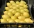 Import Wholesale High Quality Fresh Lemon Fresh Citrus Fruit For Sale from Egypt