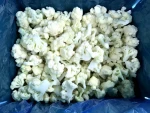 Wholesale IQF Frozen Cauliflower Floret