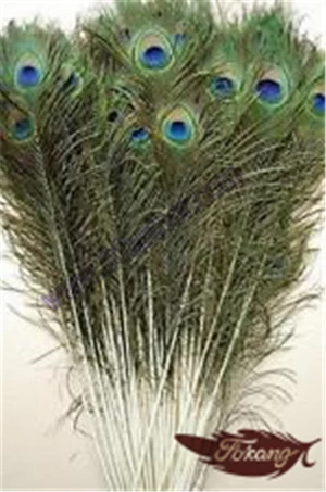 Wholesale Natural Large Peacock Feather For DIY Decoration