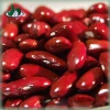 Wholesale new arrival healthy red and white kidney beans for sale