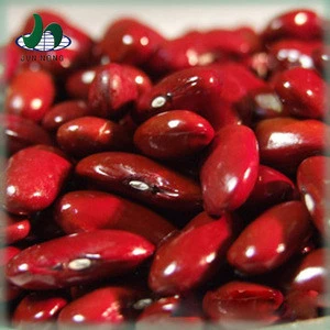 Wholesale new arrival healthy red and white kidney beans for sale