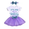Wholesale New Birthday Dresses Baby Girl Birthday Outfit 3Piece For Girl