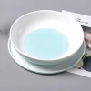 Wholesale New Style Ceramic Restaurant Household Porcelain Large Serving Breakfast Pasta Soup Salad Shallow Big Round  Bowl