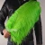 Import Wholesale Variety of Colours 15cm to 75cm Snow White Ostrich Feathers For Wedding and Party Decoration from China