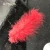 Import Wholesales 100 pcs Colored Feather for Party and Event Celebration from China