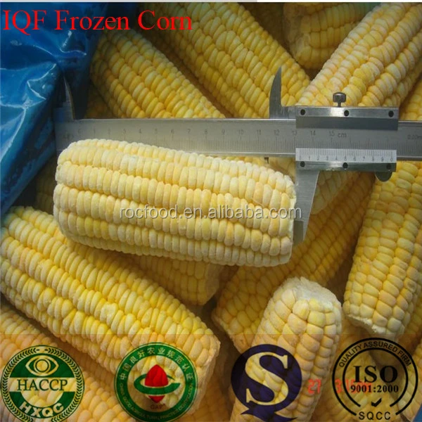 Wholesales IQF vegetables iqf frozen sweet corn