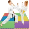 Wkf Approved Karate Training Tatami Taekwondo Mats Puzzle Wrestling Tatami Mats