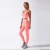 Import Womens Sportswear 2 Piece Tracksuit Snake Design Yoga Jogging Gym Wear Set Fitness Training Outfit from China
