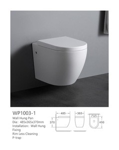 WP1003-1 Modern design european standard sizes washdown ceramic wall hung toilet