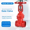 Z81X-16Q groove rising stem soft sealing elastic seat sealing gate valve special for fire pipeline DN50100150200