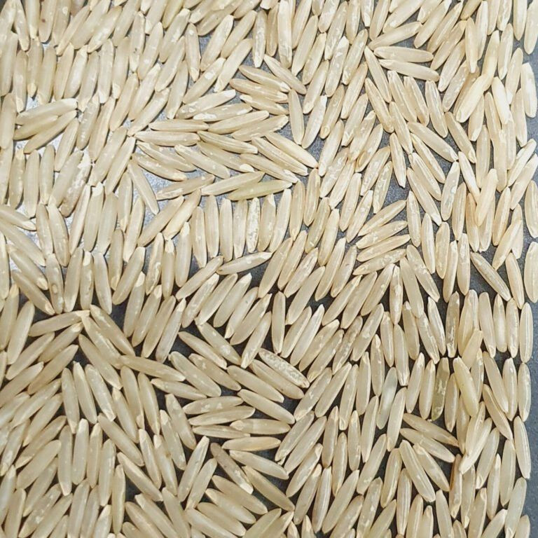 Usman Rice Buy Supeer Basmati Brown Rice from Usman Enterprises, Pakistan ...