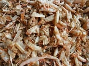 Dried Shrimp Shell for sale