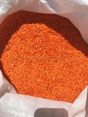Red Lentils Masoor Dal/ Green Mung Beans, Pinto Bean, Light Speckled, Kidney Beans, Light Brow For Sale