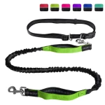 Reflective Dog Hands Free Leashes with Waist Belt