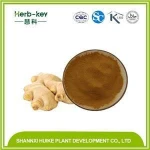 ginger extract