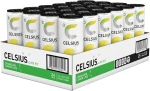 Celsius Energy Drink 24 x 330ml/335ml (All Flavors)