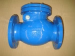 DIN swing check valve from China