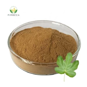 Factory Price 100% Natural 10:1 Fig Leaf extract Fig Leaf Powder
