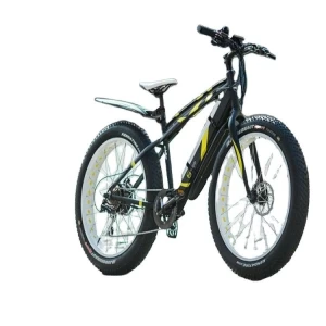 Full suspension MTB fat tire mountain ebike 36V 250W electric city bike bicycle