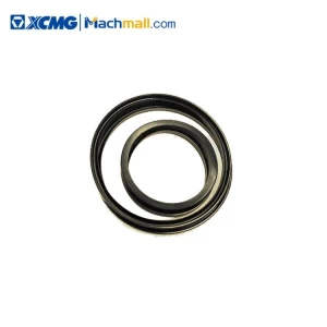 XCMG Wheel Loader spera parts 2Bs315 Gearbox Rotary Oil Seal Pack  Rz*860167248