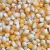 Import Dried yellow corn for feeding animals suitable for cattle and horses from Germany