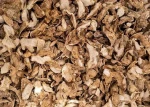 Naturally Grown and Dried Ginger