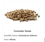 Organic Coriander Seeds for Fresh Culinary Flavor