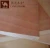Import China factory supply high quality commercial plywood for decoration from China