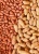 Import Blanched & Roasted Peanuts – Food Grade | OEM & Private Label Available from Kenya