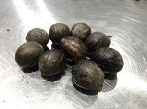 Nutmeg With Shell Myristica fragrans Family: Myristicaceae