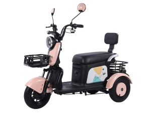 Passenger electric tricycle