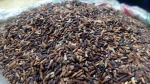 Black rice