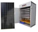 Looking for a medium scale egg incubator with 1056 egg capacity for a poultry hatchery in the Middle East