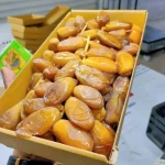 Premium Algerian Deglet Nour Dates – High Quality Export Grade