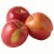 Import New Crop Fresh Red Apple Fruit Farm Price Wholesale Supplier from Belgium